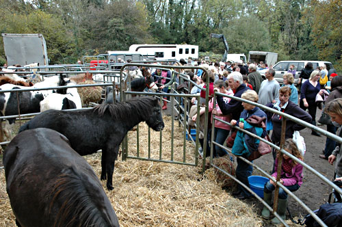 Bampton Pony Fair